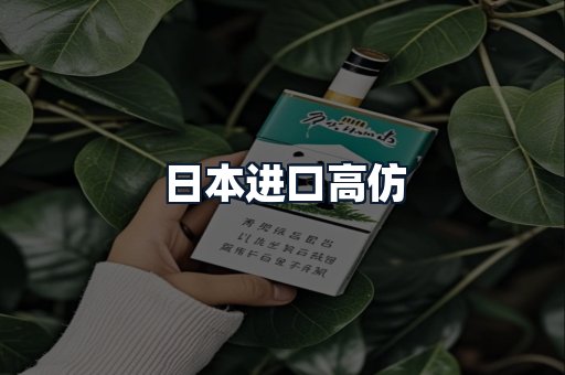 日本进口高仿